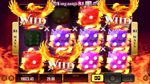 synot, firebird series - swiss4win.ch