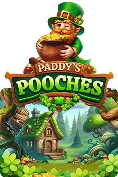Paddy's Pooches