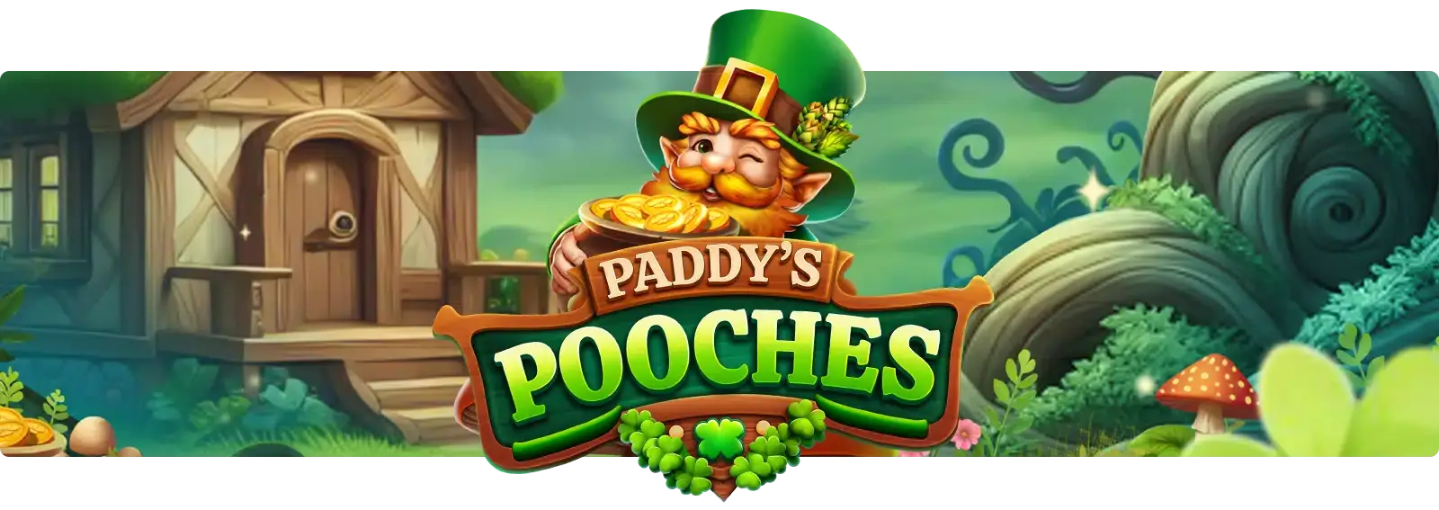 Paddy's Pooches