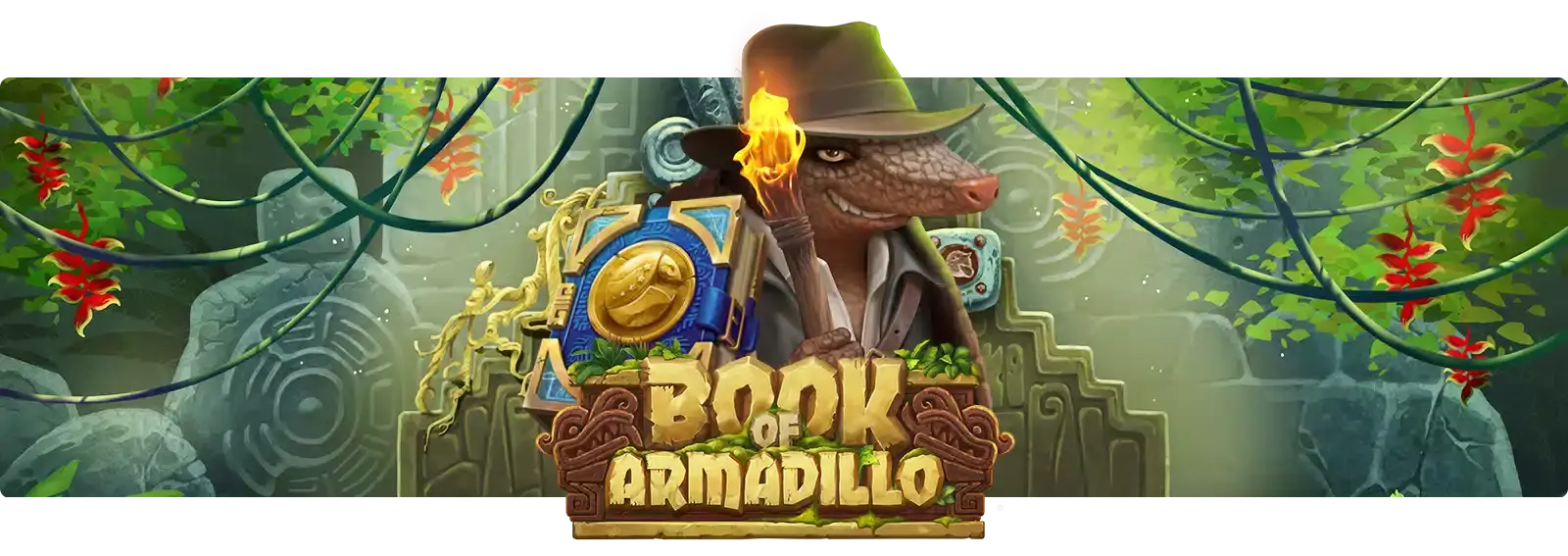 Book of Armadillo