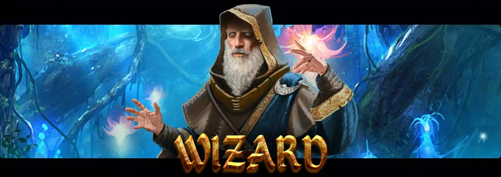 Wizard