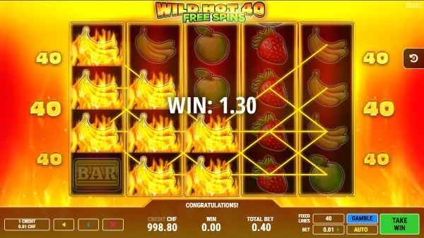 Wild Hot 40 Free Spins gameplay 2 - swiss4win.ch