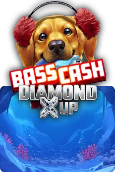Bass Cash Diamond X UP