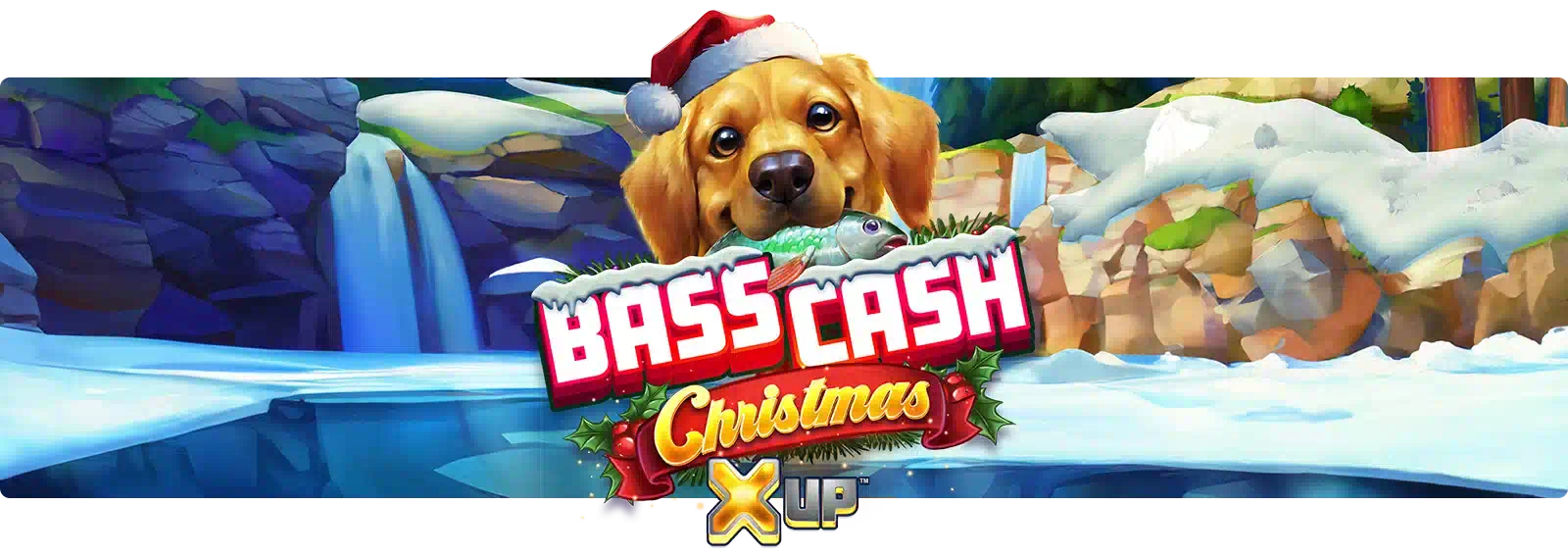 Bass Cash Christmas X UP