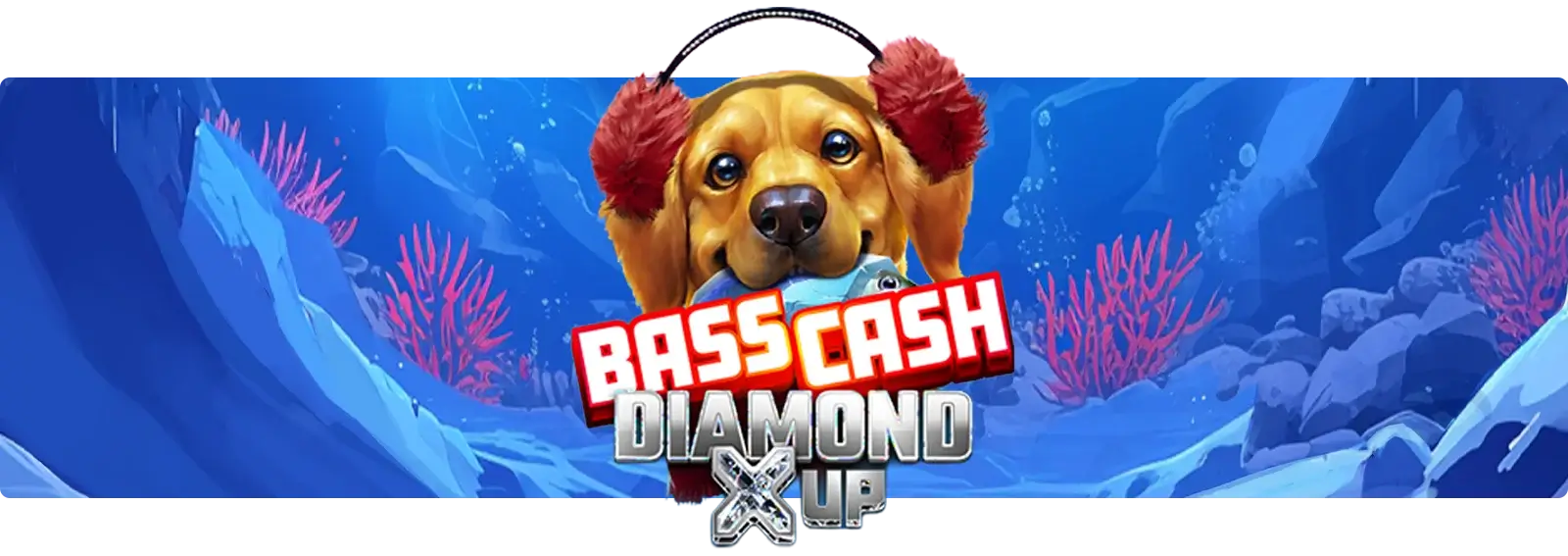 Bass Cash Diamond X UP