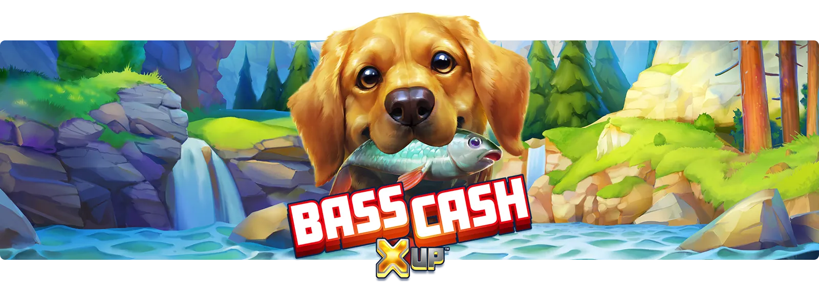 Bass Cash X UP