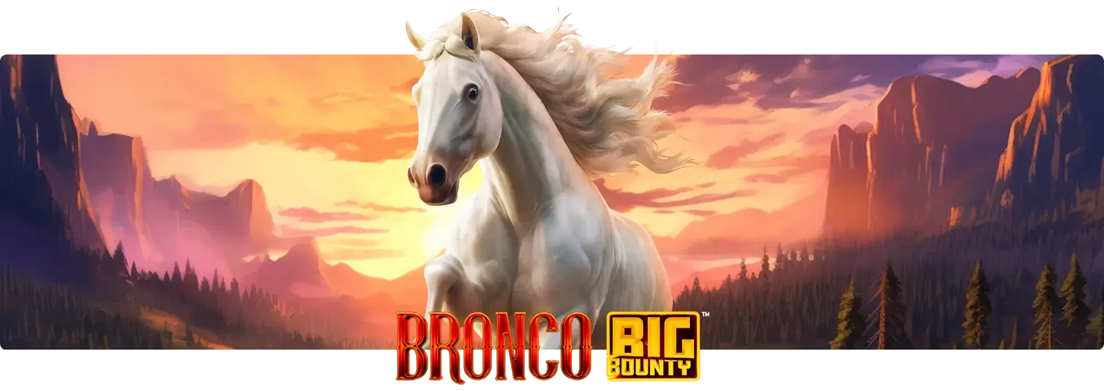 Bronco Big Bounty
