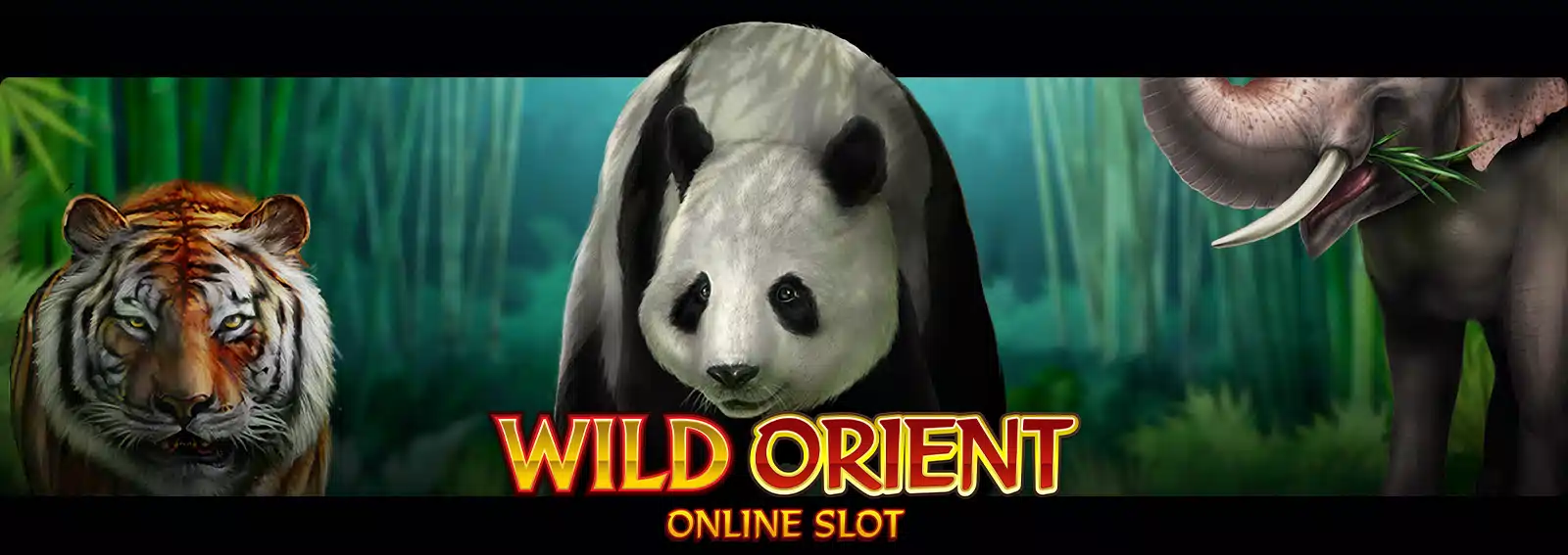 Wild Orient