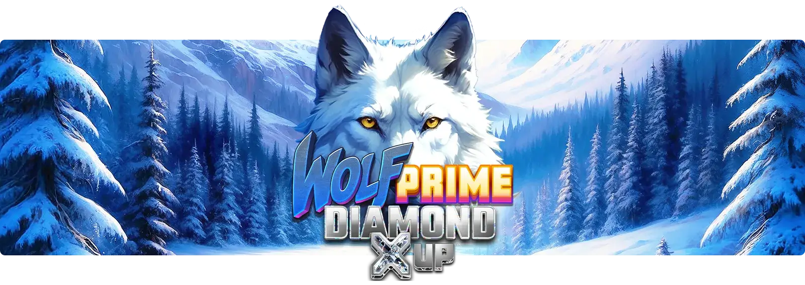 Wolf Prime Diamond X UP