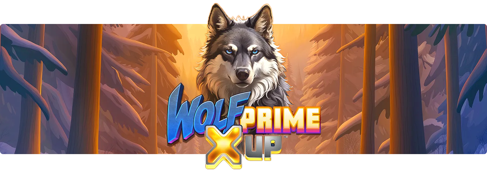 Wolf Prime X UP