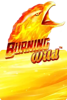 Burning Wild