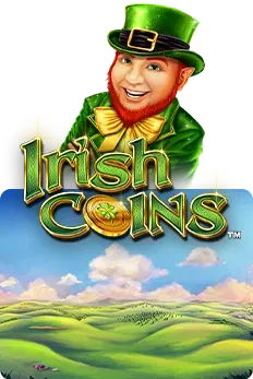 Irish Coins