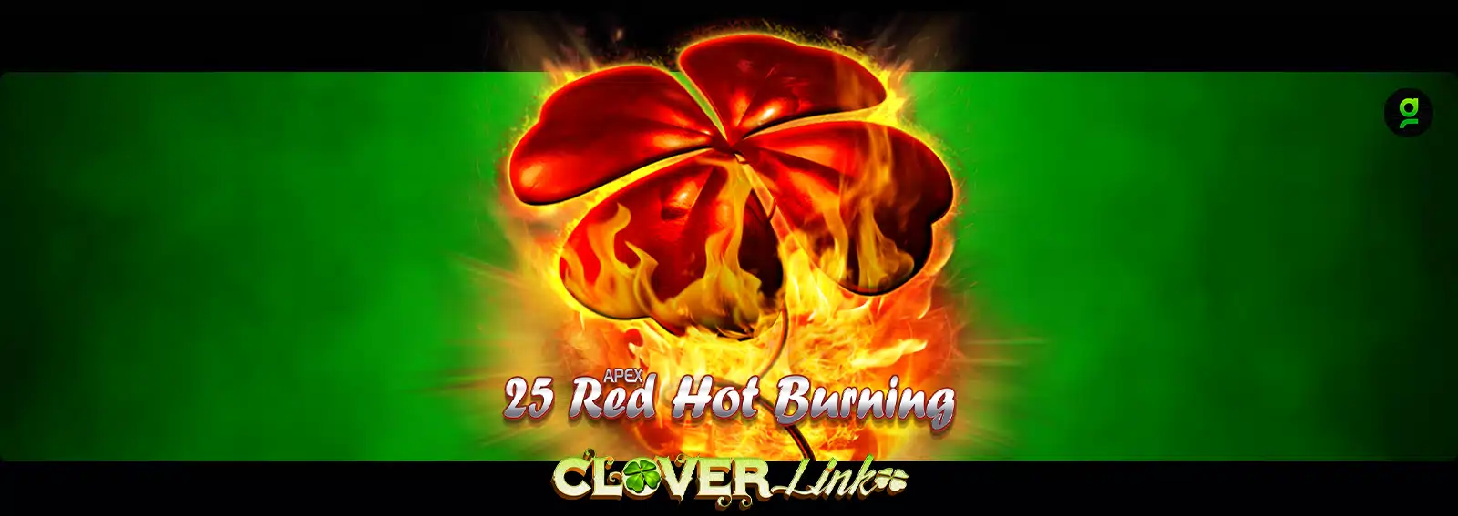 25 Red Hot Burning Clover Link