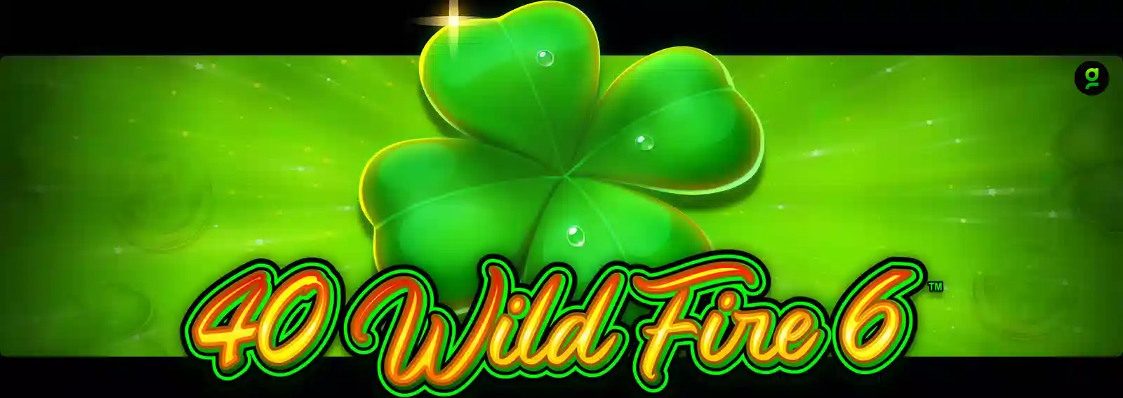 40 Wild Fire 6