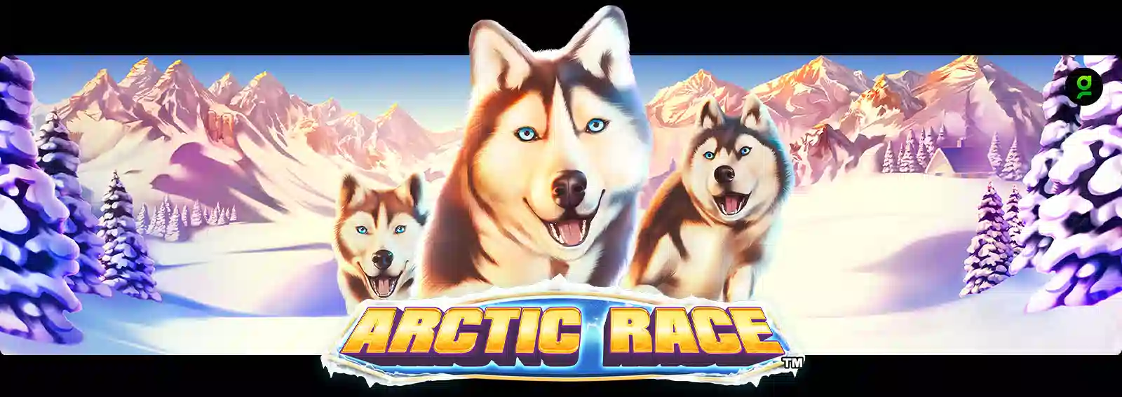 Arctic Race