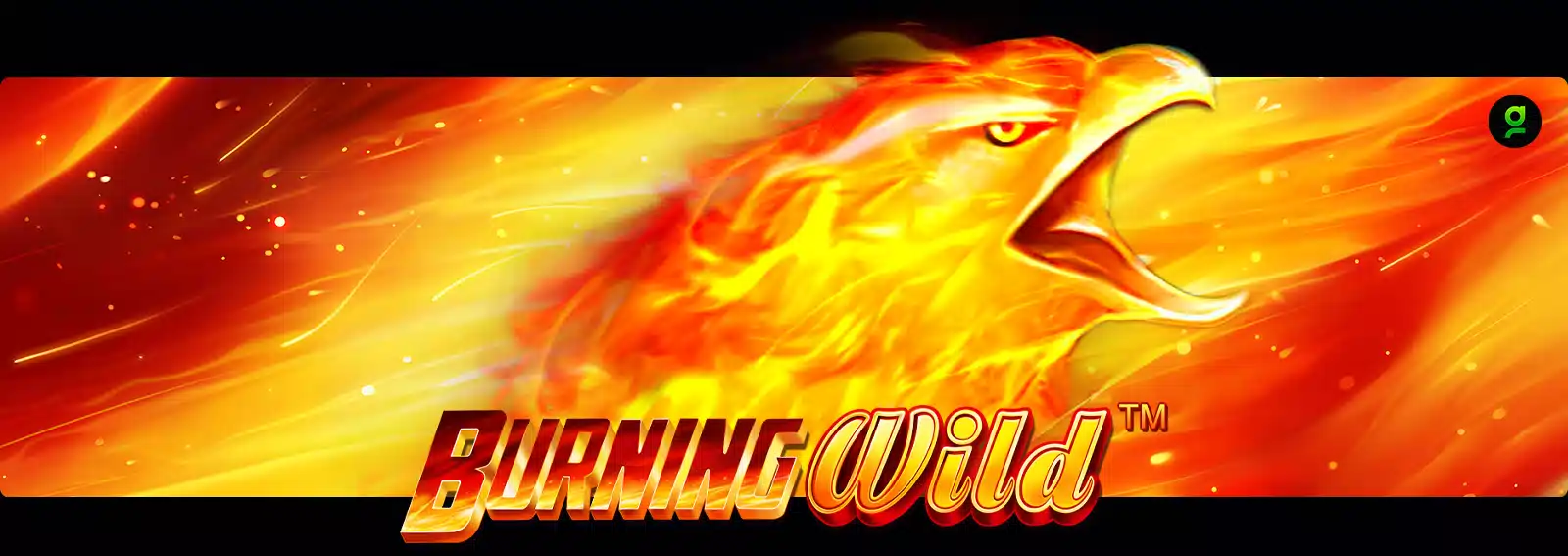 Burning Wild
