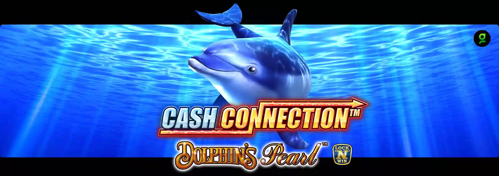 Cash Connection - Dolphin's Pearl