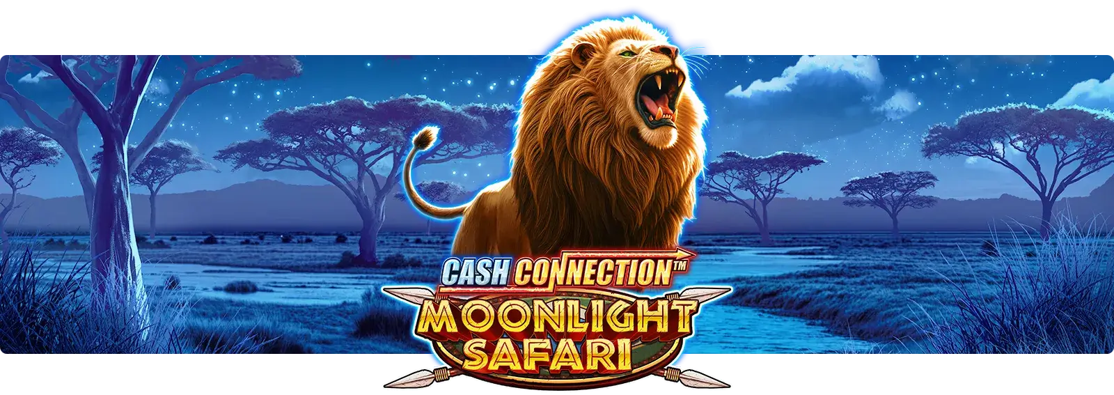Cash Connection - Moonlight Safari