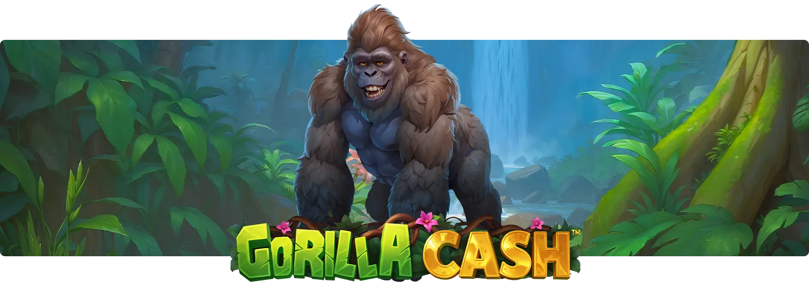 Gorilla Cash