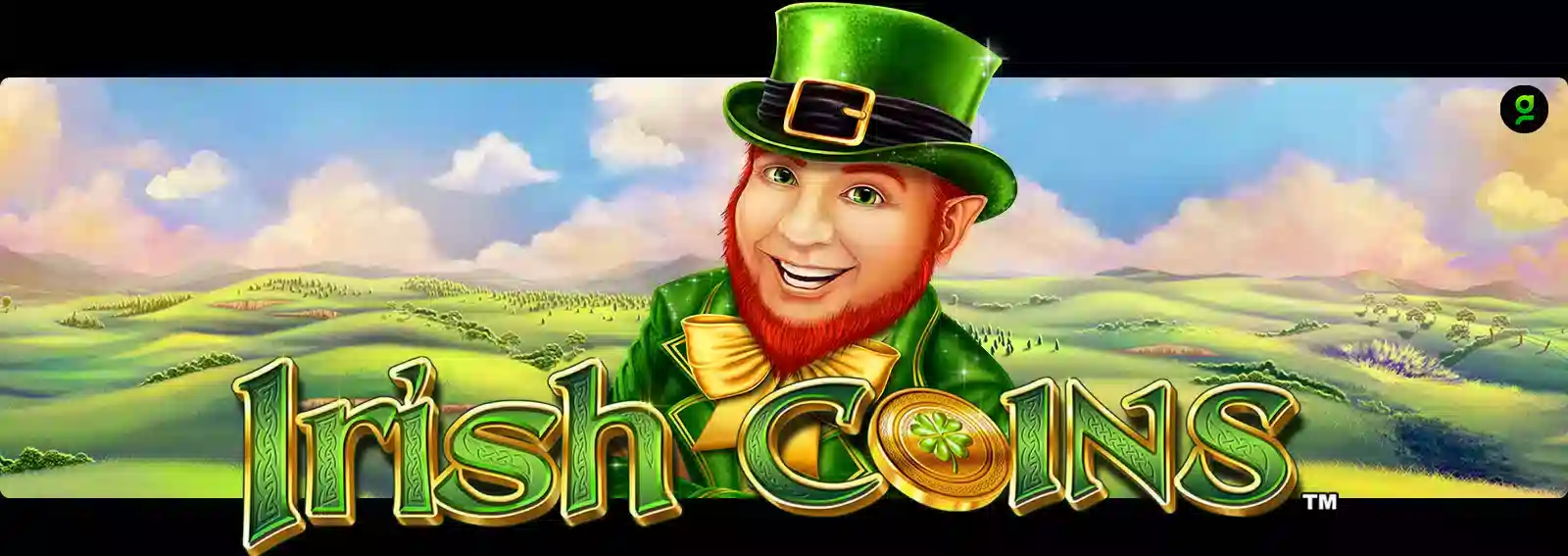 Irish Coins