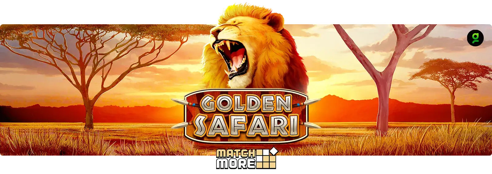 Match More - Golden Safari