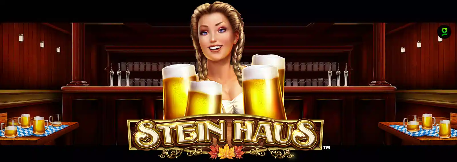 Stein Haus