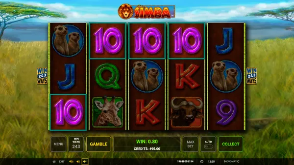 African Simba gameplay 2 - swiss4win.ch