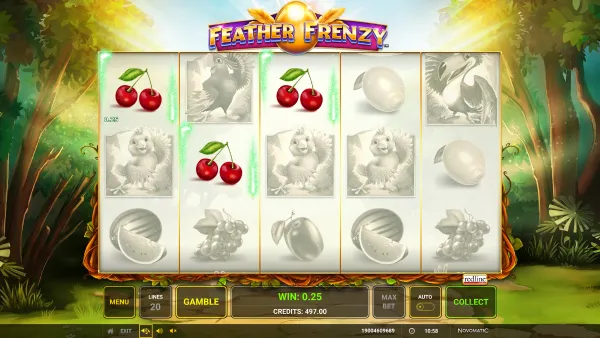 Feather Frenzy gameplay 2 - swiss4win.ch