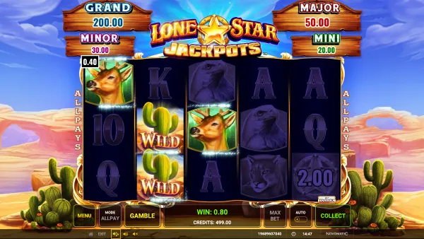 Lone Star Jackpots gameplay 2 - swiss4win.ch