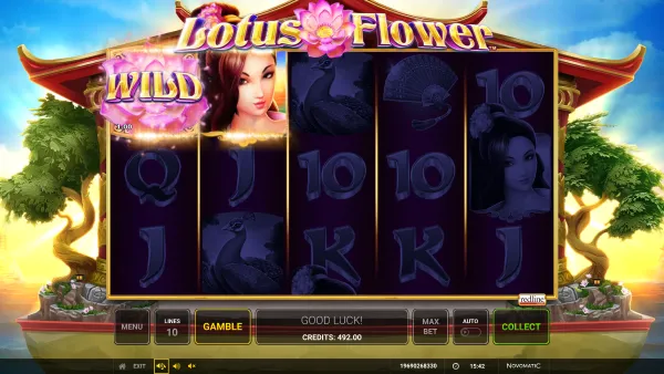 Lotus Flower gameplay 2 - swiss4win.ch