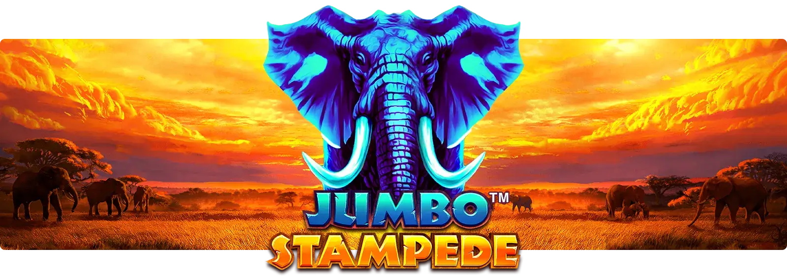 Jumbo Stampede