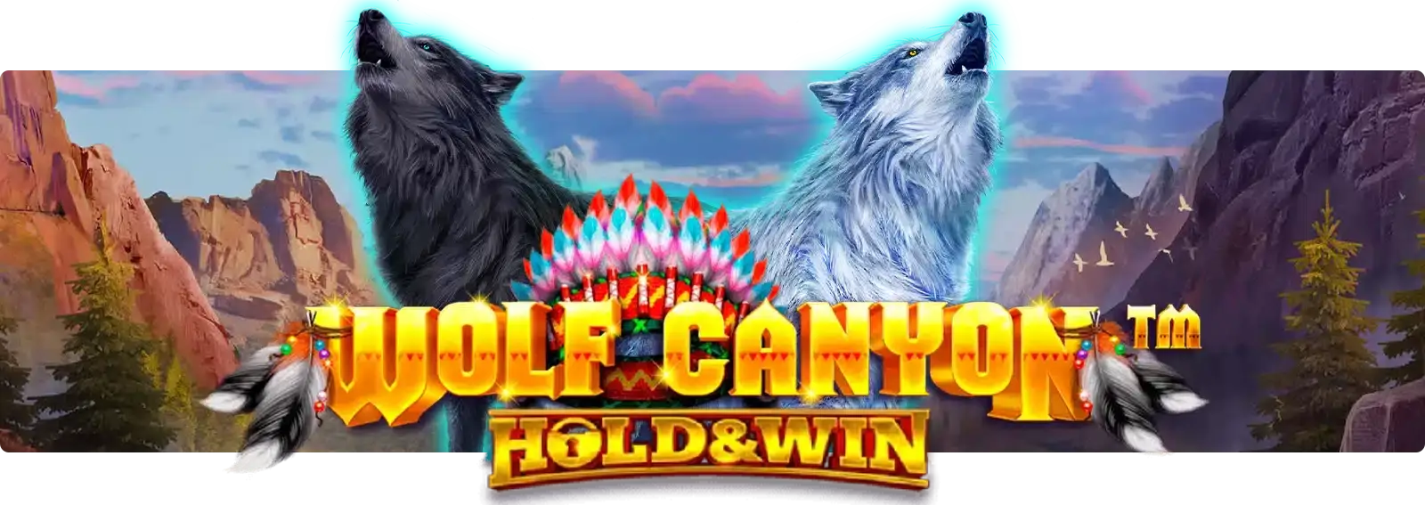 Wolf Canyon Hold & Win