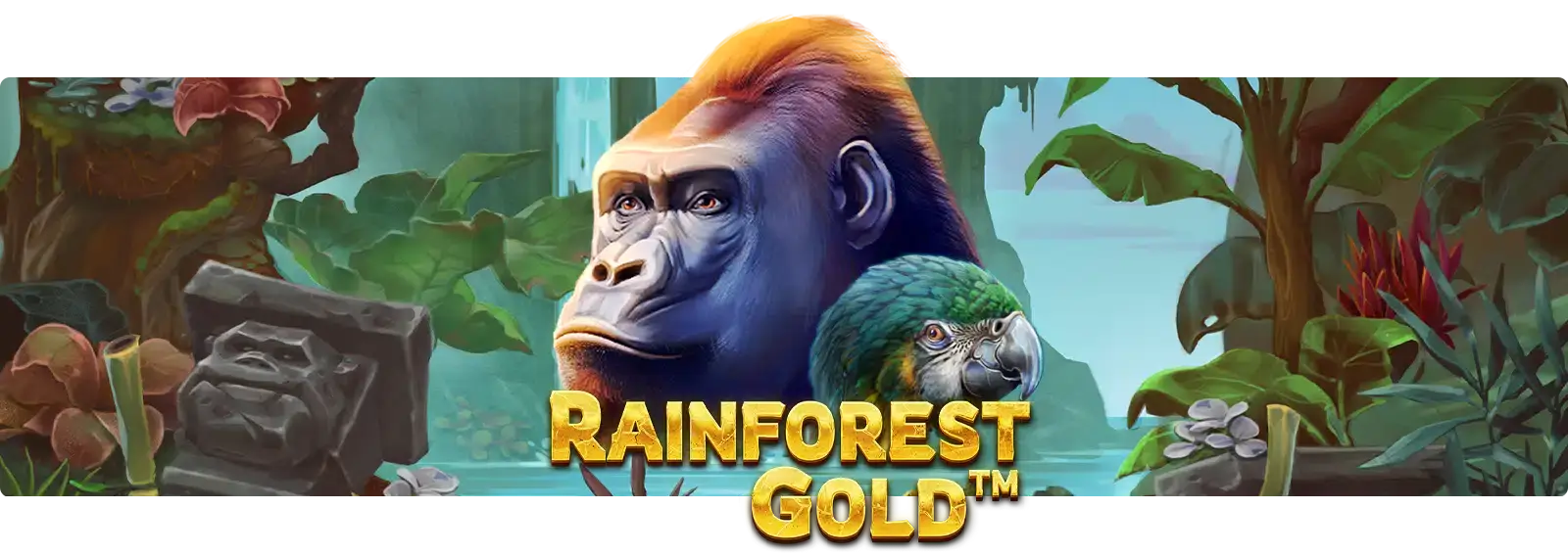 Rainforest Gold