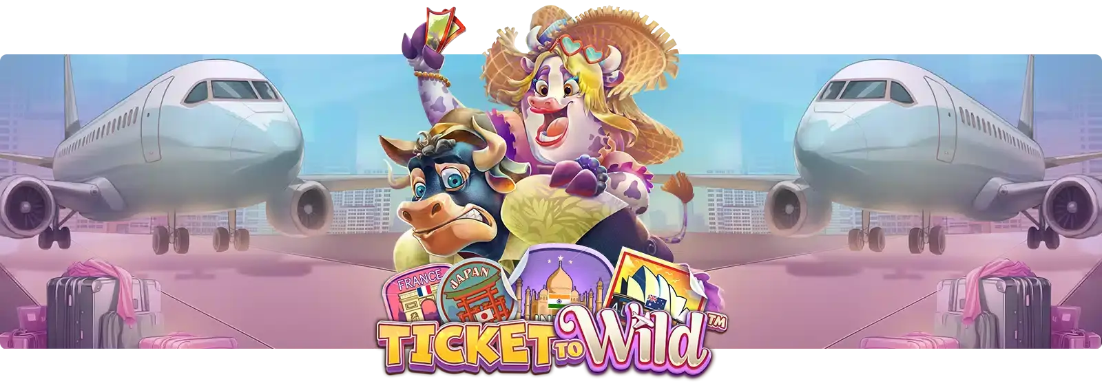 Ticket To Wild