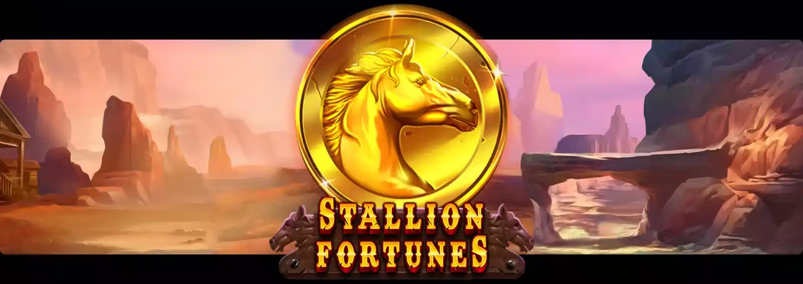 Stallion Fortunes