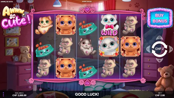 Awww So Cute gameplay 1 - swiss4win.ch