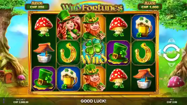 Wild Fortunes gameplay 1 - swiss4win.ch