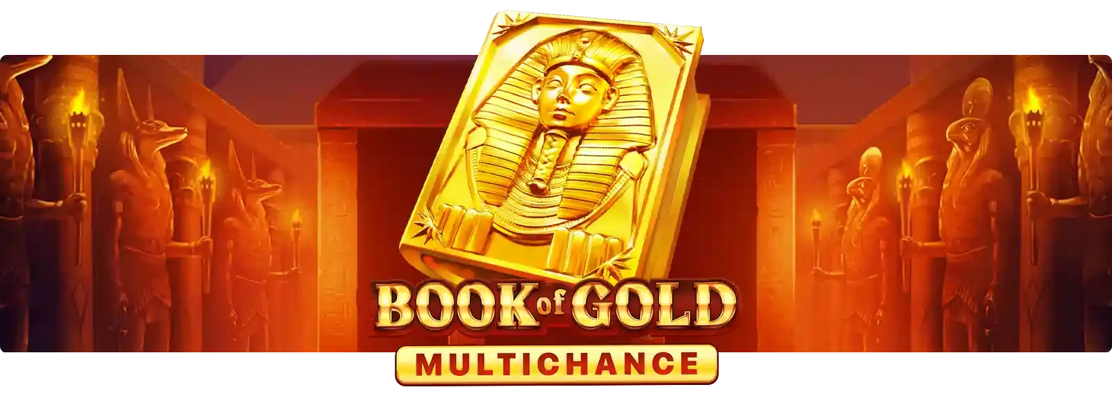 Book of Gold: Multichance