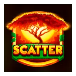 Scatter