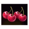 Simbolo 9