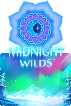 Midnight Wilds