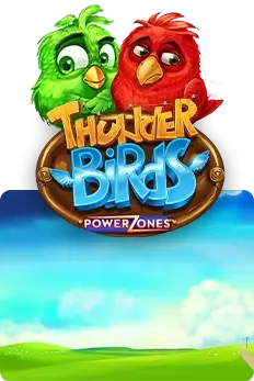 Power Zones: Thunder Birds