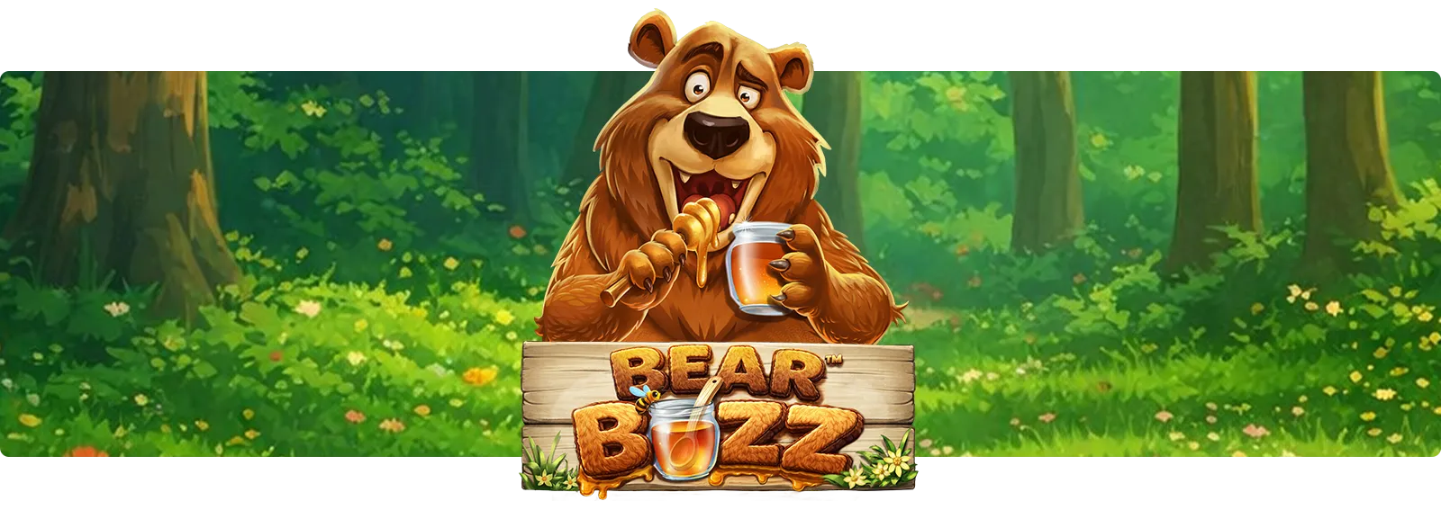 Bear Buzz