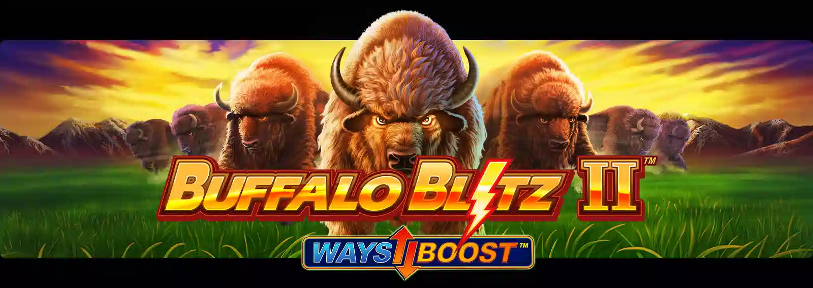 Buffalo Blitz II
