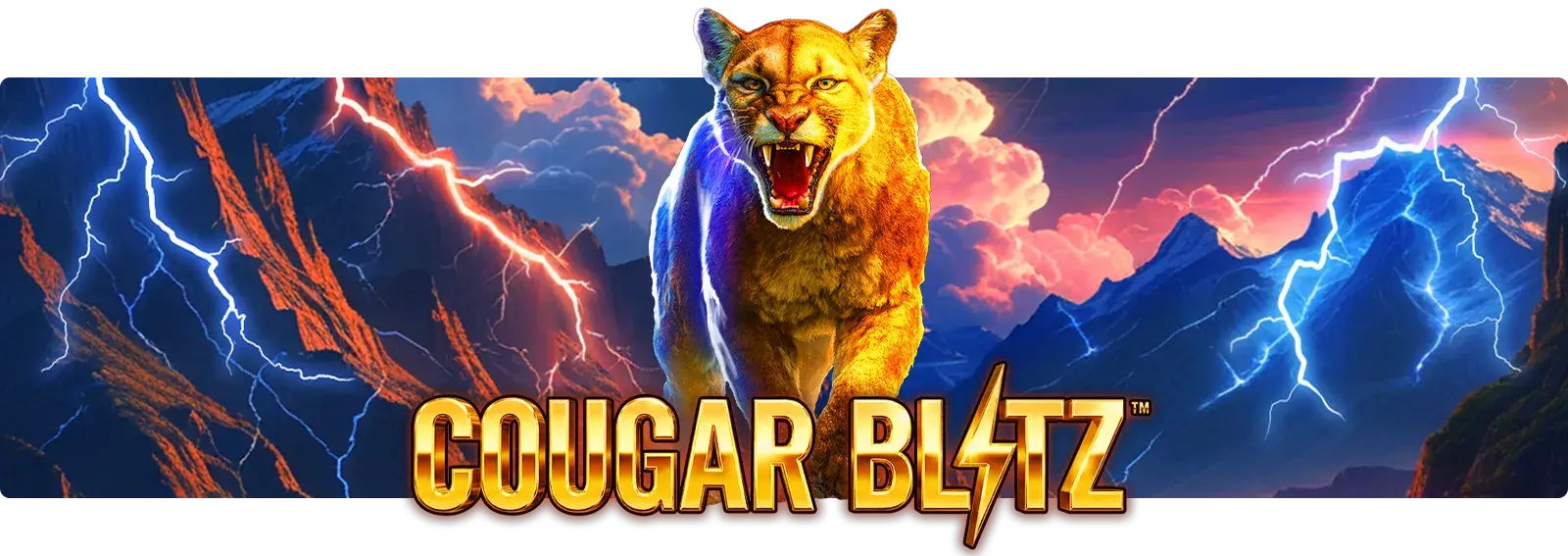 Cougar Blitz