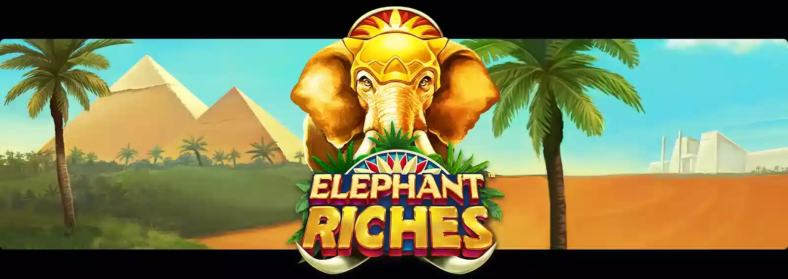 Elephant Riches