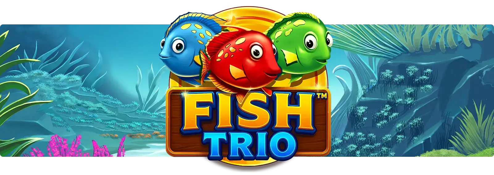 Fish Trio