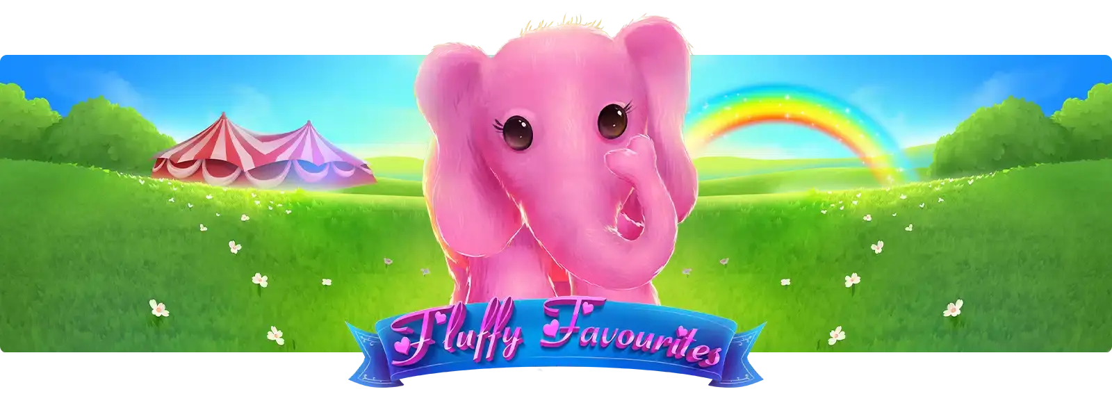 Fluffy Favourites