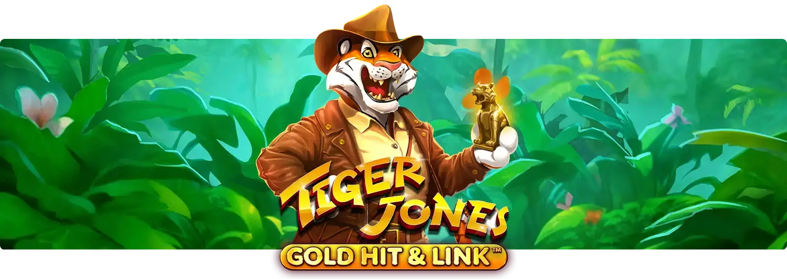 Gold Hit & Link: Tiger Jones