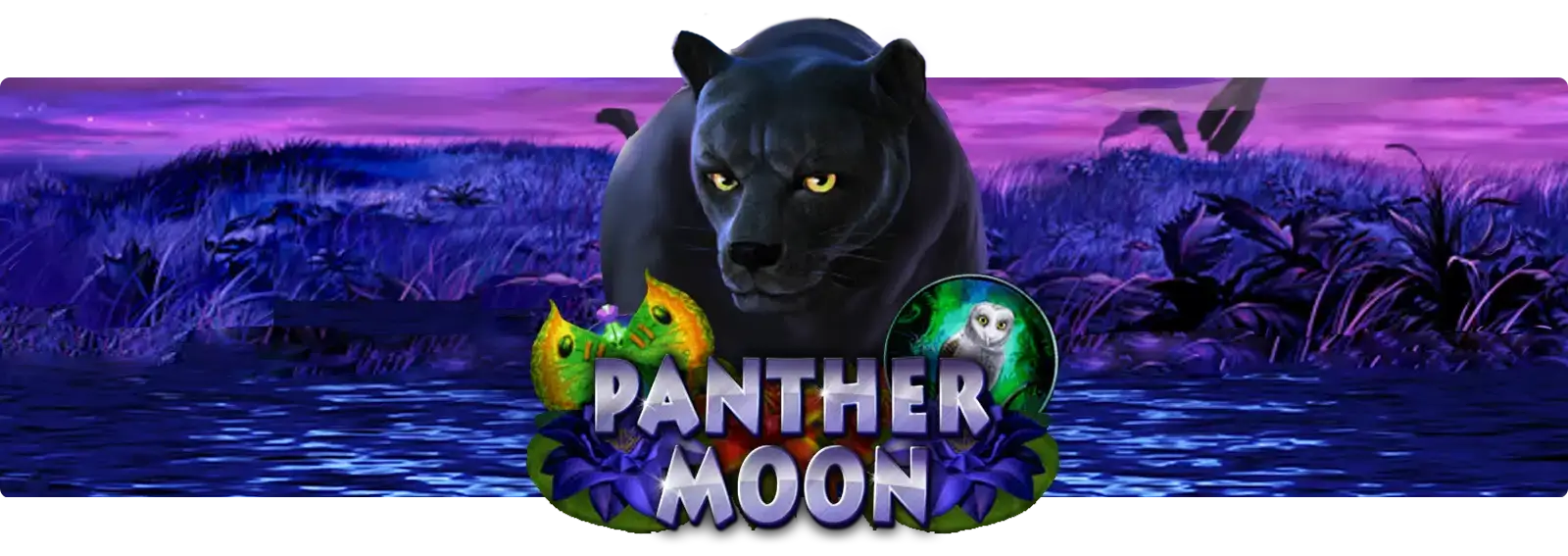 Panther Moon